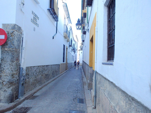 The walls of these buildings have been concave cut for Ox Cart Axils.